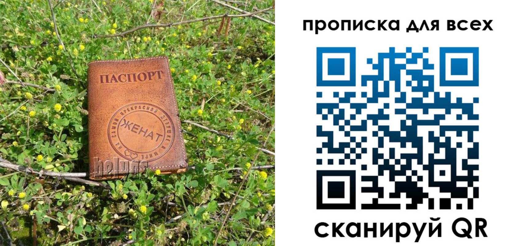 прописка поиск в Иркутске